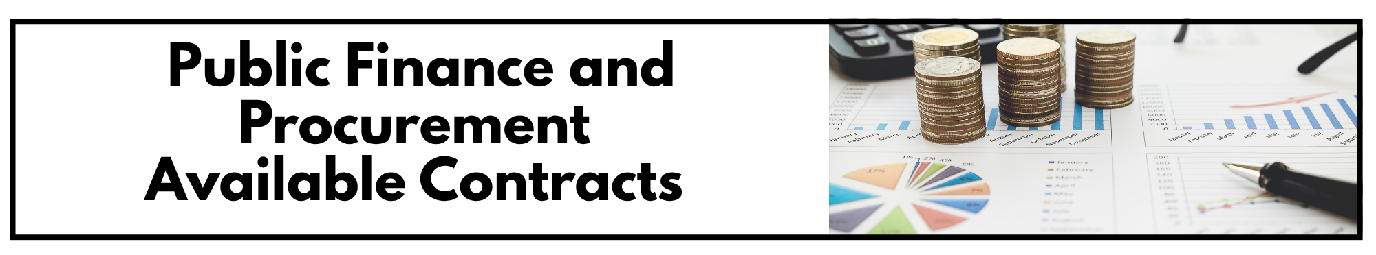 Public Finance and Procurement Banner Public Finance and Procurement Banner